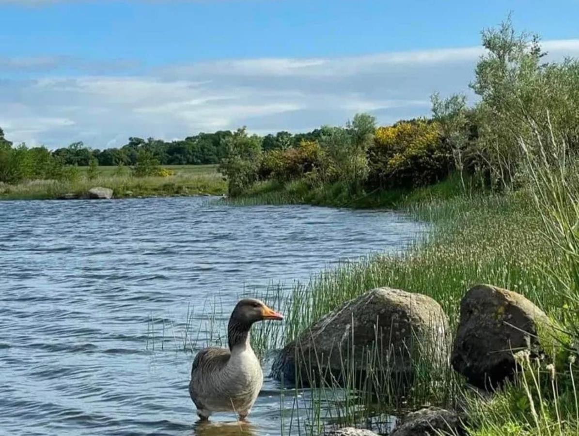 Couston Lakes Bathgate