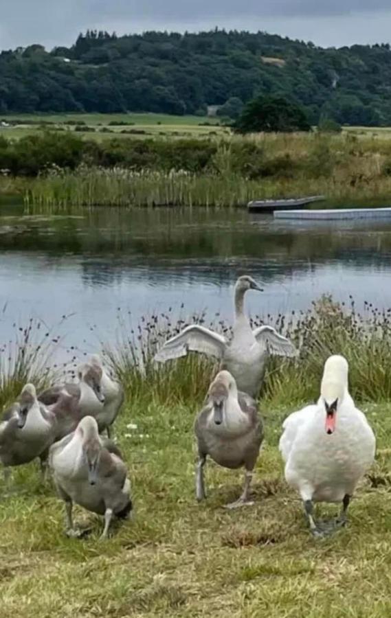 Couston Lakes * Bathgate